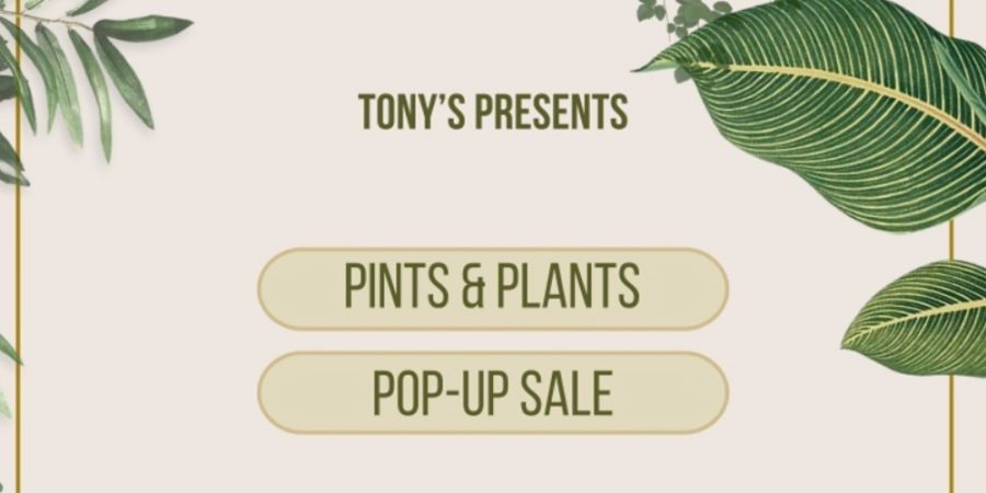 Pints & Plants